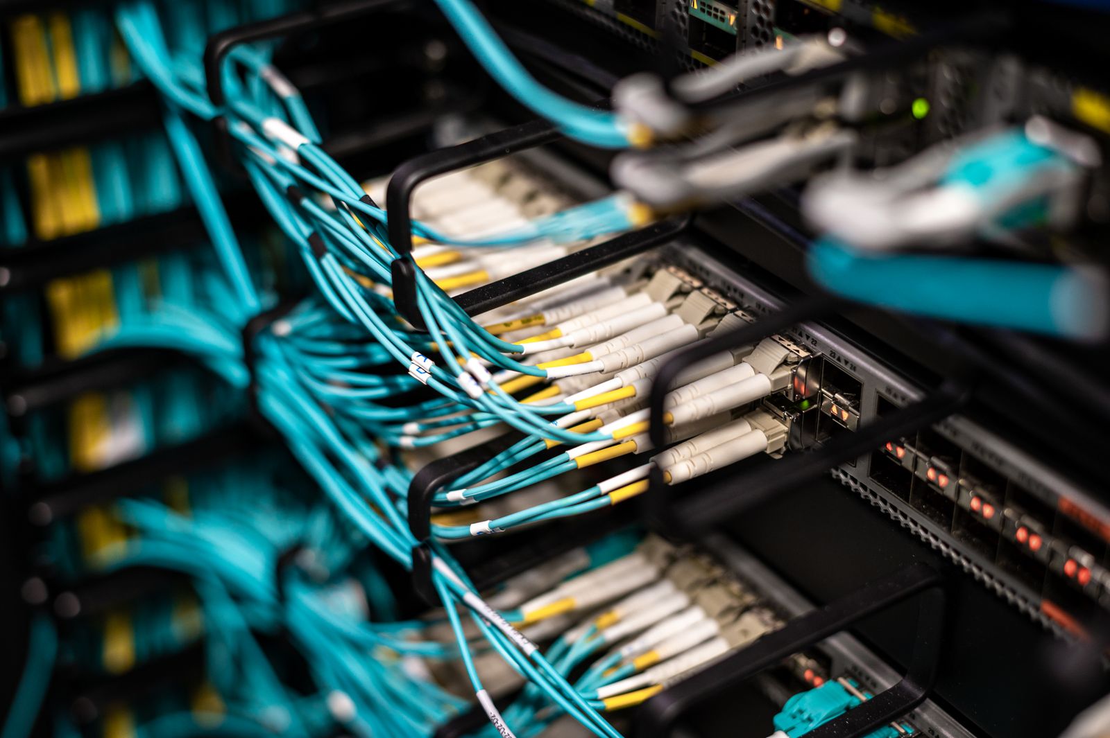 Cables conectados a un patch panel de red